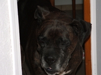 2005